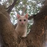Tom Gastón - @mellamotom26 - Instagram