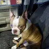 Tom Gates - @tom.gates60 - TikTok