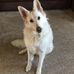 Tom Gaulke - Facebook