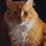 Tom Geist - @thomas.august.geist - Instagram