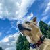 Tom Geist - Facebook