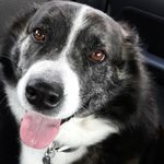 Tom Geraghty - @tomg.eraghty - Instagram