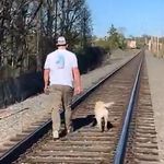 Tom Geraghty - @geraghtyt - Instagram