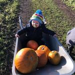 Tom Geraghty - @tom.geraghty.1232 - Instagram