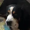 tomgerhardt02 - @tomgerhardt02 - TikTok