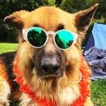Tom Gillander - @tomgillander - Instagram