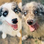 Tom Gilmour - @gallowaytam - Instagram