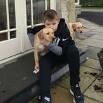 tom gleeson - @gleeson115 - Instagram