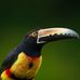 Tom Goggin - Facebook