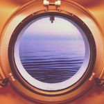 Tom Goggin - @sonoffrog - Instagram