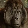 Tom Gorey - @tom.gorey7 - TikTok