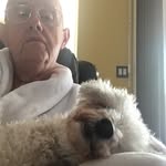 Tom Gorey - @tom.gorey.37 - Instagram