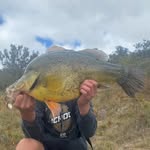 @tom_gottsfishes - Instagram
