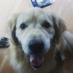 Tom Graber - @tomgraber223 - Instagram