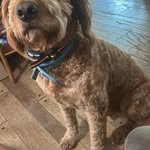 Tom graber - @graber2869 - Instagram