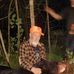 Tom Gray - Facebook