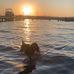 Tom Green - Facebook