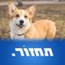 Tom Greenberg - Facebook