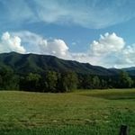 Tom Greenberg - @tom.greenberg.108 - Instagram