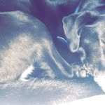 Tom Grimm - @tomgrimm12 - Instagram