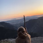 Tom Grimm - @tom_grimm30 - Instagram