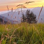 Tom Großmann - @tom_grossmann79 - Instagram