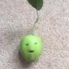 Tom - @tom.iguess - TikTok