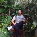 Tom Gummer - @tomgummer - Instagram