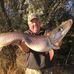 Tom Gunderson - Facebook