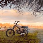 Tom Günther - @tom_guenther_ - Instagram