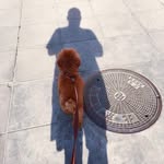 tom guo - @guo4301 - Instagram
