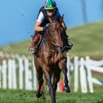 @tom_gutan - Instagram