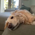 Tom Haag - @t0mhaag - Instagram