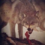 Tom Hall - @tomhall_iv - Instagram