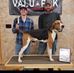 Tom Hamblin - Facebook