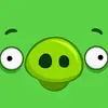 tom hambling - @tom.hambling - TikTok