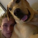 Tom Hamel - @tom_hamel_ - Instagram