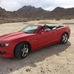 Tom Roger Hammer - @tomrogerhammer - Instagram