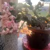 Tom Russell - @tom.hann6 - TikTok