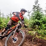 Tom Harant - @haranttom - Instagram