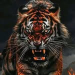 Tom Harden - @tomharden939 - Instagram