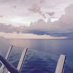 Tom Harden - @awilbertz - Instagram