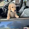 Tom Hardesty - @tom.hardesty - TikTok