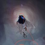 Tom Harding - @designs_by_tom - Instagram