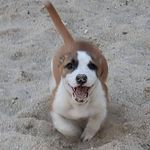 Tom Hassell - @hasselltom - Instagram