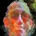 Tom Hastings - Facebook
