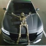 Tom Hasty - @dambitboy_565 - Instagram