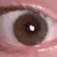 user2701034234495 - @tomhazelton_ - TikTok