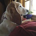 Tom Healey - @tom.healey.520 - Instagram