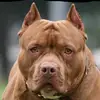 Tom - @tom.heckmann11 - TikTok